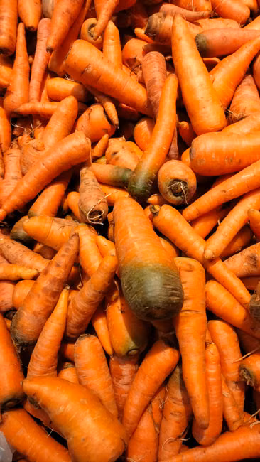 Hortifruti